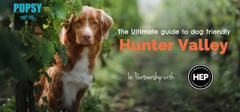 dog-friendly-hunter-valley-HEP-new