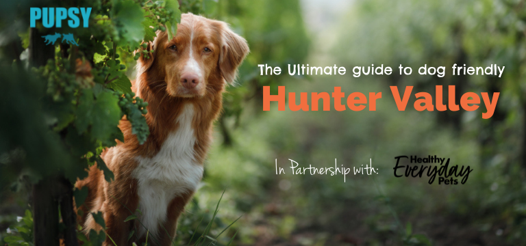 dog-friendly-hunter-valley-HEP
