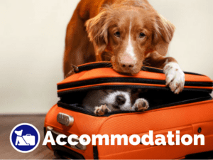Dog friendly accommodation on Pupsy