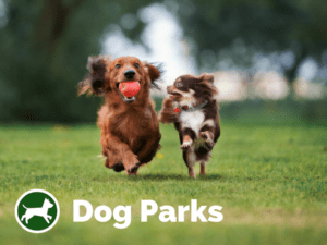 Dog parks on Pupsy