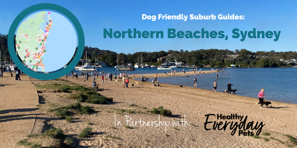 Dog-Friendly-Northern-Beaches-HEP