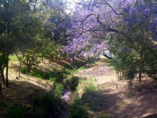 Ashridge-Road-Park-86