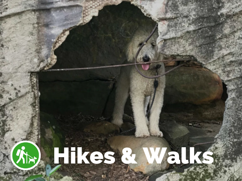 Tile Hikes & Walks