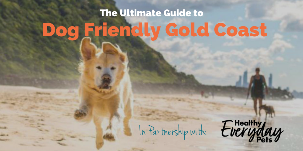 Dog-Friendly-Gold-Coast-HEP