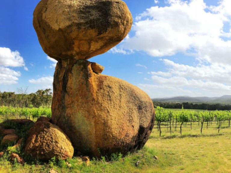 Balancing Rock Wines Dog Friendly Winery 1 86 768x576