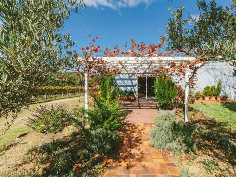 Boireann Winery Dog Friendly Winery 1 86 768x576