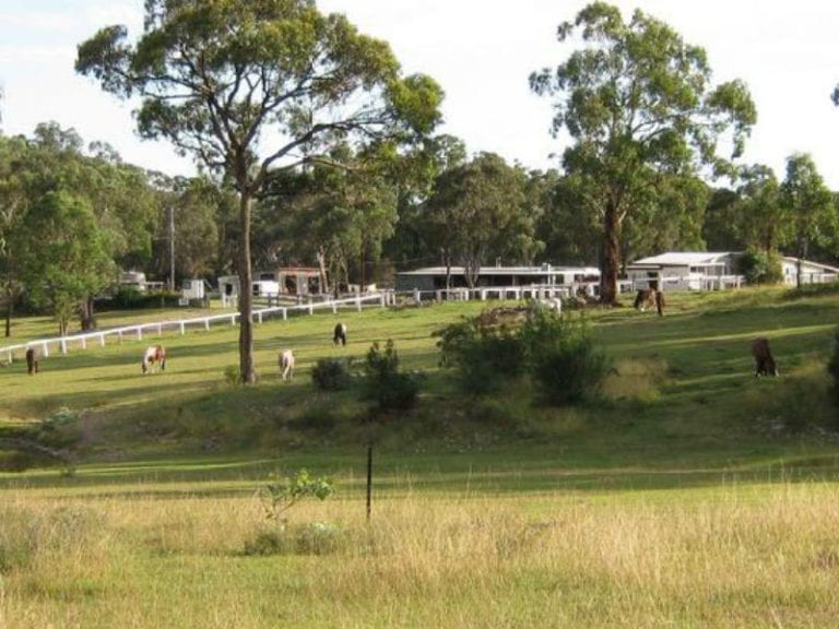 Bullock 1 86 768x576