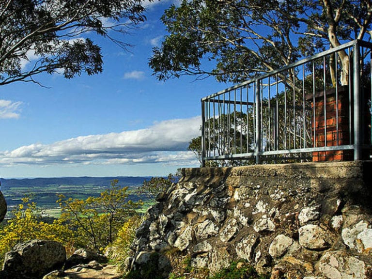 Camels Hump Dog Friendly Hike 1 86 768x576