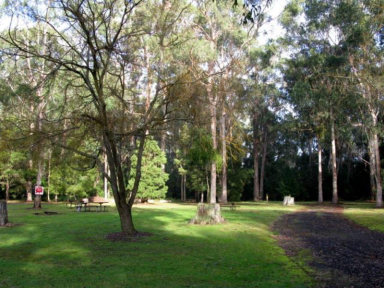 Cann River Dog Friendly Camping 86 768x576