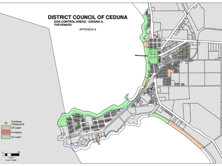 Ceduna Foreshore 86 1 768x576