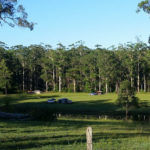 Coffs Harbour Camping 2 86 150x150