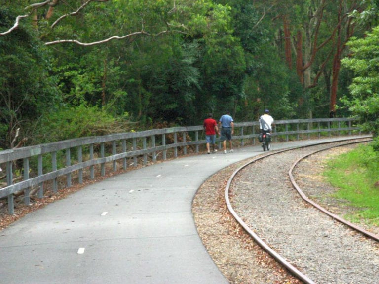 Fernleigh Track Dog Friendly Hike 1 768x576