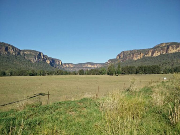 Glen Davies 2 86 768x576