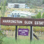 Harrington Glen Estate Dog Friendly Winery 1 86 150x150
