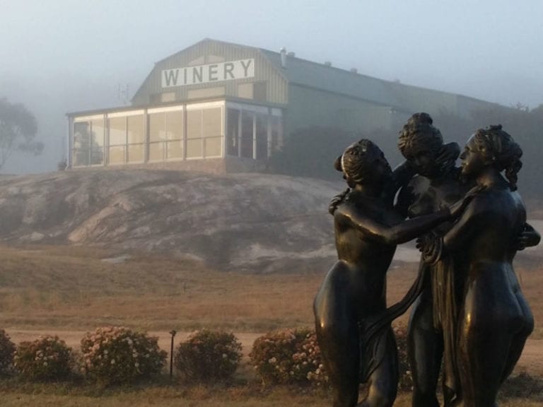 Harrington Glen Estate Dog Friendly Winery 2 86 768x576