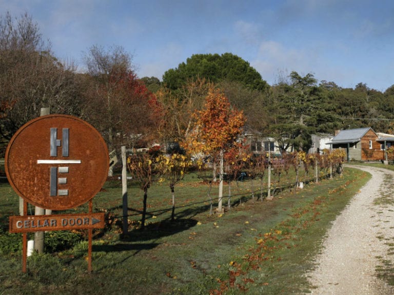 Hesket Estate Winery Dog Friendly winery 1 86 768x576