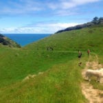 Johanna Beach Camping 1 86 150x150