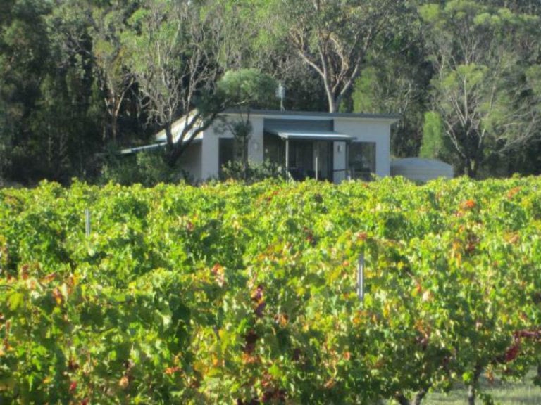 Just Red Wines Dog Friendly Winery 1 86 768x576