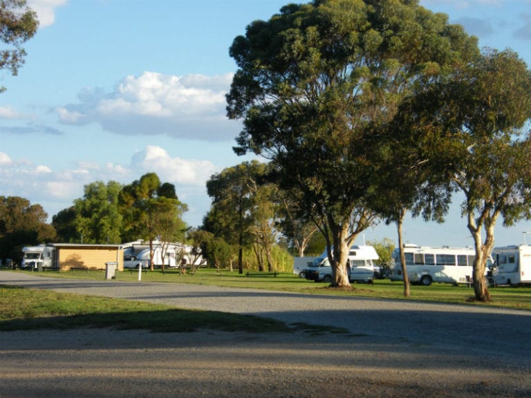 Lake Boga Dog Friendly Camping 86 768x576