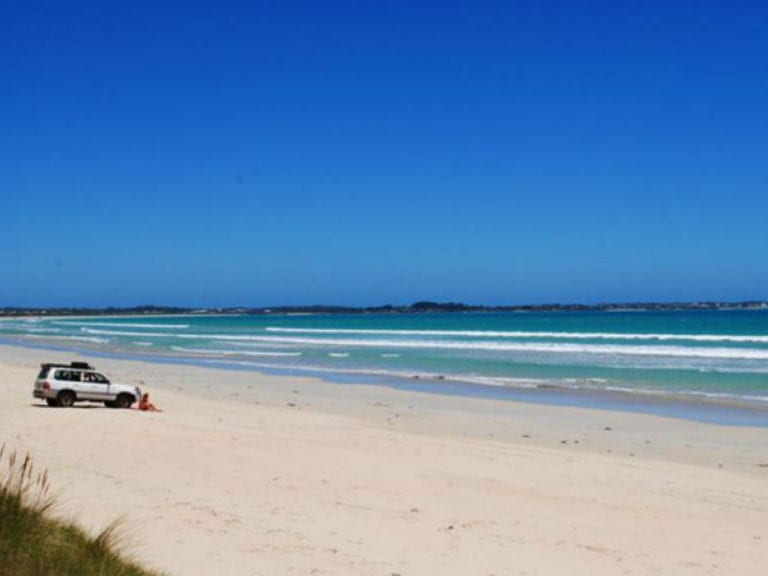 Long Beach Dog Friendly Beach 1 86 768x576