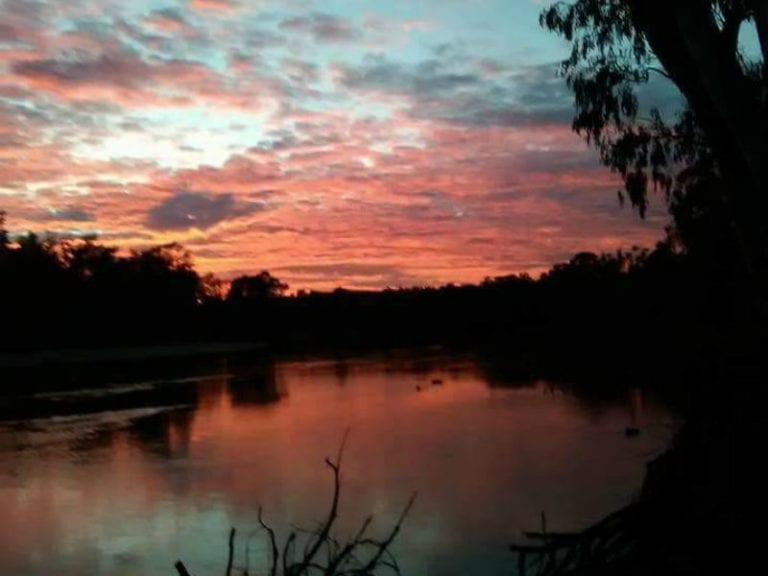 Manangatang dog friendly camping 86 768x576