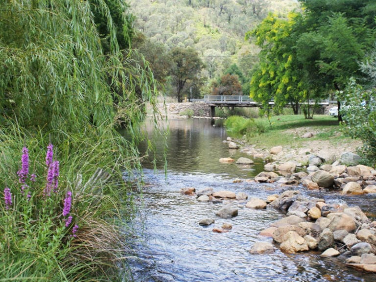 Micalong Creek 1 86 768x576