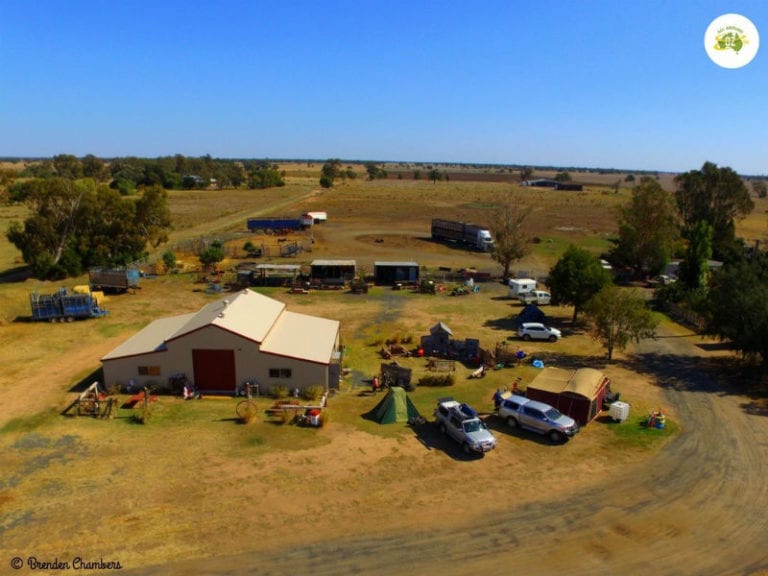 Nakadoo 1 86 768x576