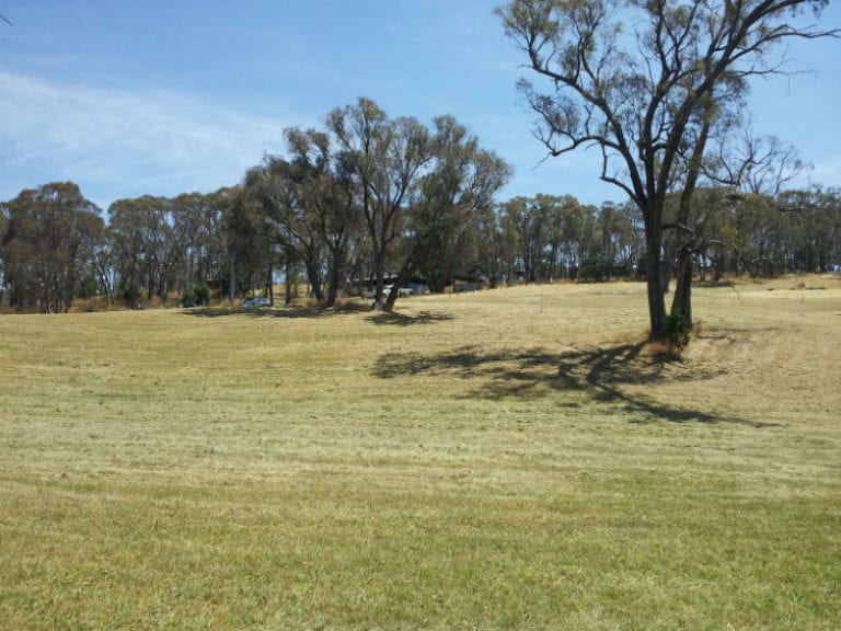 Noonameena 1 86 768x576