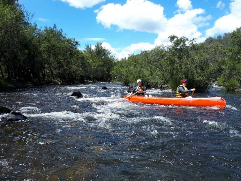 Nymboida 2 86 768x576