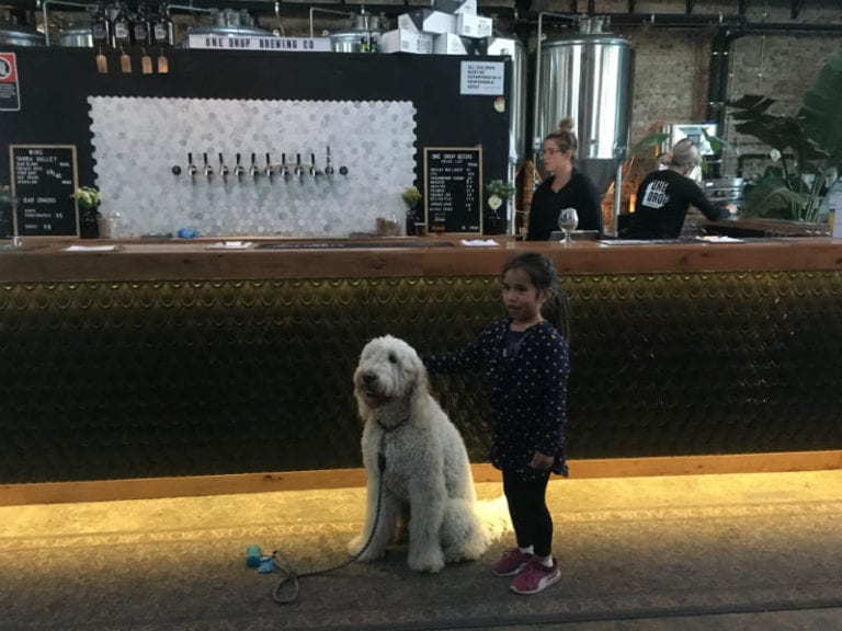 One Drop Dog Friendly Brewery 1 768x576