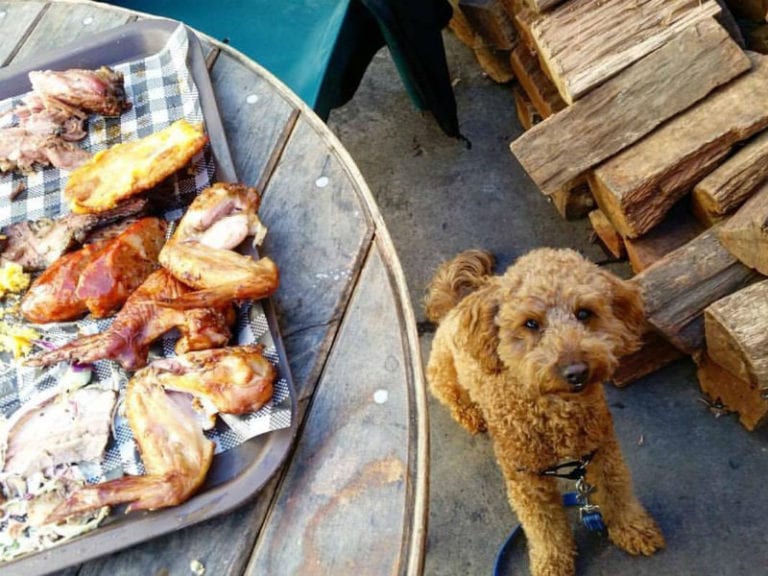 Oxford Tavern Dog Friendly Pub 1 768x576