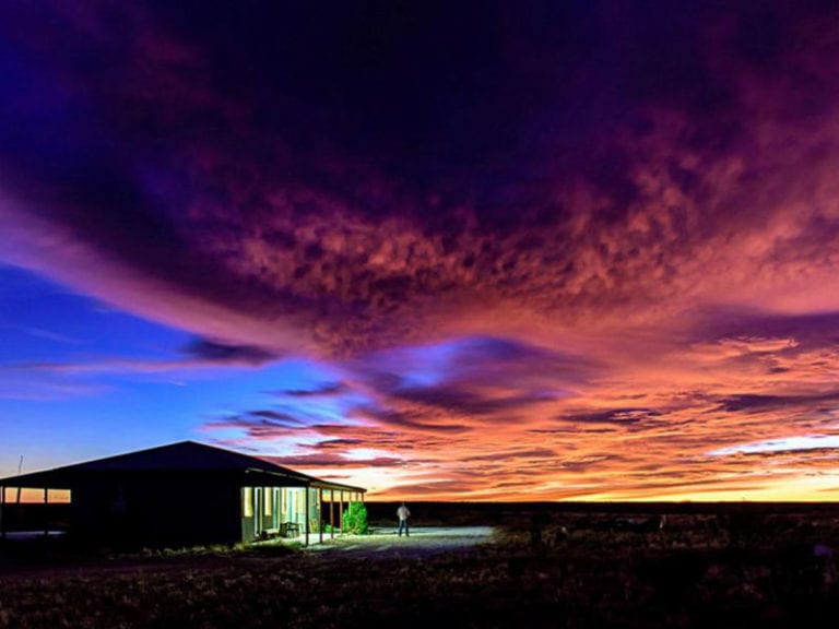 Pimpara 1 86 768x576