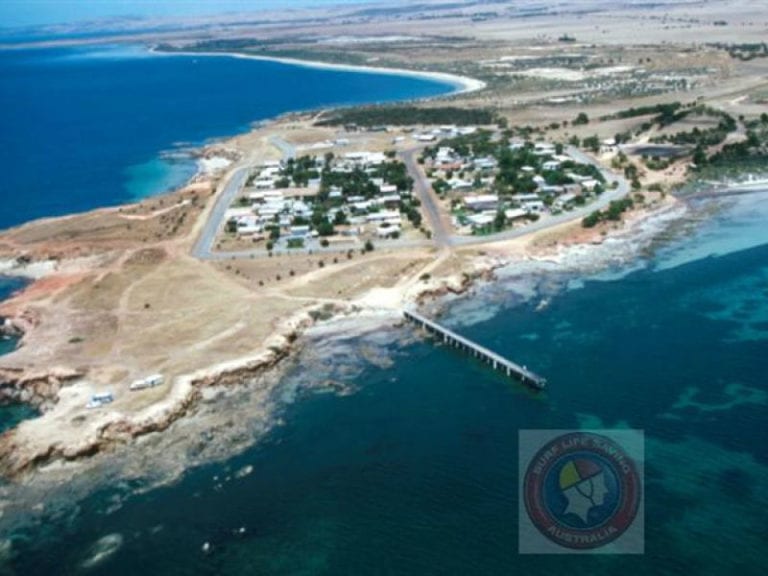 Point Warna 86 768x576