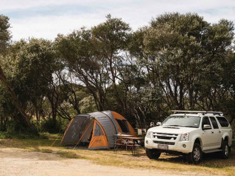 Shoreline Drive Dog Friendly Camping 1 86 768x576