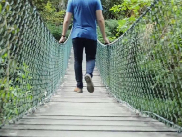 Strickland Falls Dog Friendly Hike 1 86 768x576