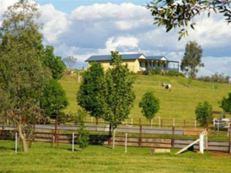 Sunrise Cutting Horses 1 86 768x576