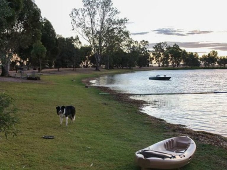 Watchem Lake Dog Friendly Camping 1 86 768x576