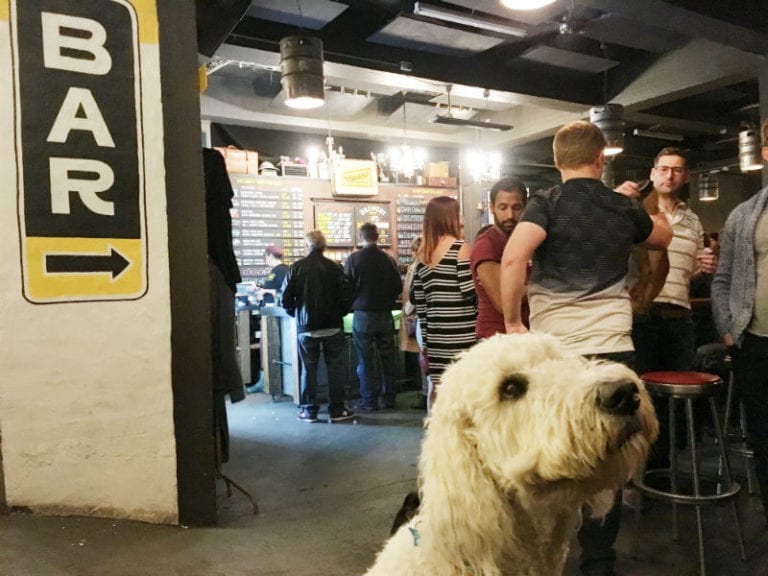 Wayward Brewery 8x6 C 768x576