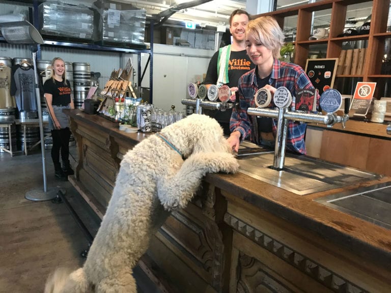 Willie the Boatman dog friendly brewery 86 768x576