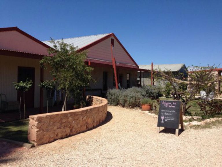 919 Wines Dog Friendly Winery 1 86 768x576