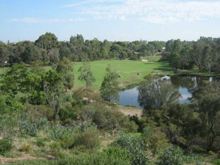 Albert Park 86 768x576