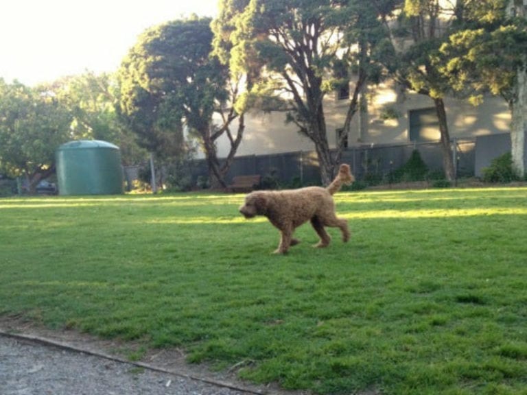 Armadale Reserve 86 768x576