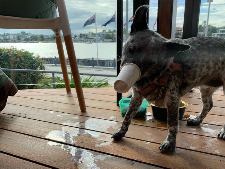 Barko Co 2 86 768x576