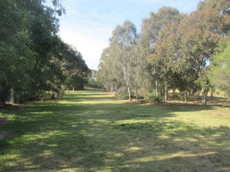 Brady Reserve 86 768x576