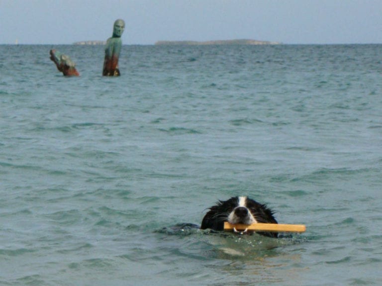 CY OConnor Beach 86 1 768x576