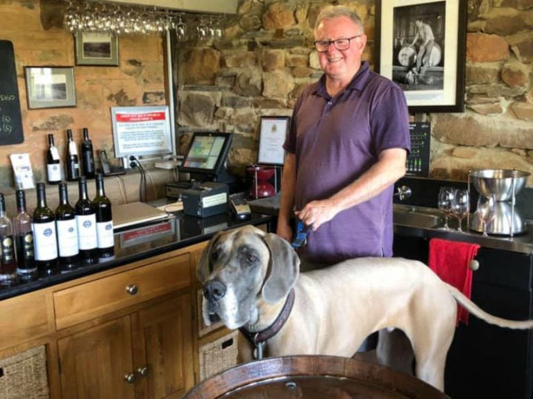 Crabtee DOG 2 86 768x576