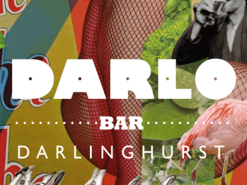 Darlo Bar 1 8*6