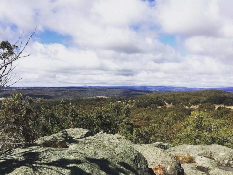 Donnellys Castle Dog Friendly Walk 1 86 768x576