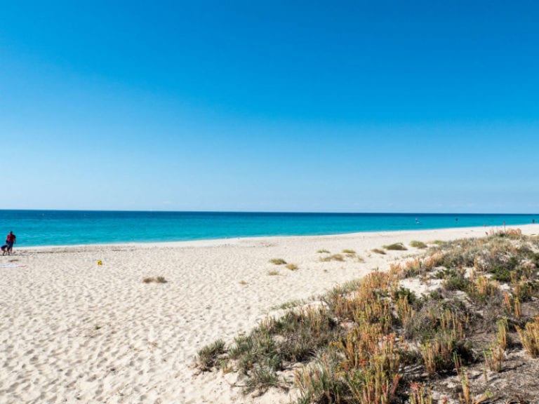 Eagle Bay 86 768x576