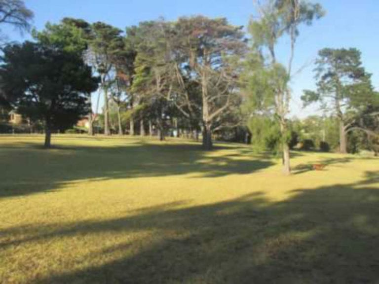 Henderson Reserve 86 768x576